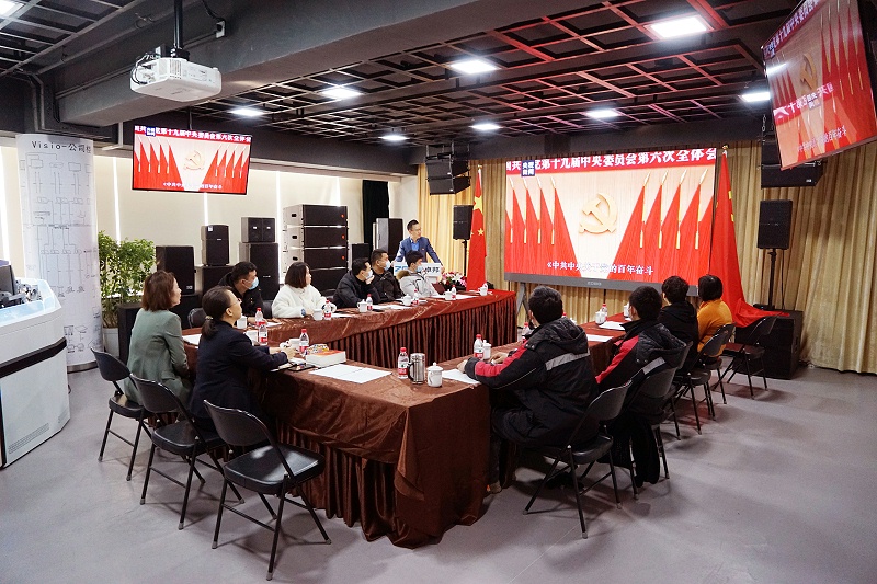ZOBO91免费在线APP黨支部丨開展“學習貫徹黨的十九屆六中全會精神”主題黨日活動