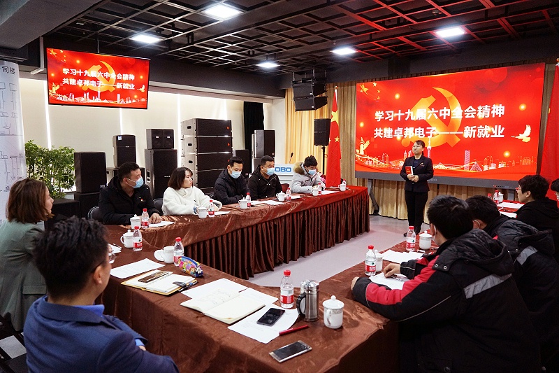 ZOBO91免费在线APP黨支部丨開展“學習貫徹黨的十九屆六中全會精神”主題黨日活動