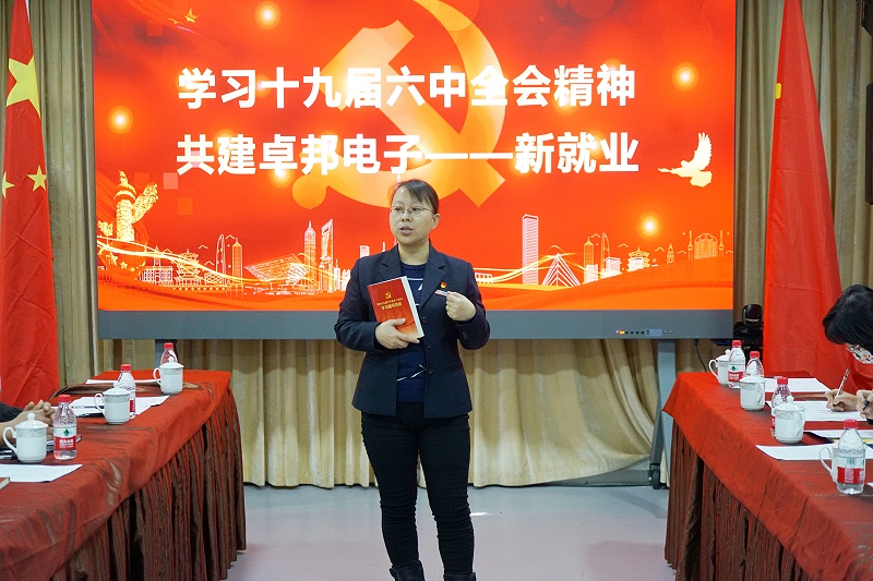 ZOBO91免费在线APP黨支部丨開展“學習貫徹黨的十九屆六中全會精神”主題黨日活動