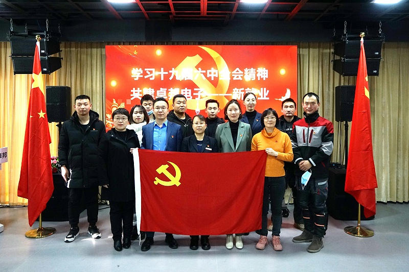 ZOBO91免费在线APP黨支部開展“學習貫徹黨的十九屆六中全會精神”主題黨日活動