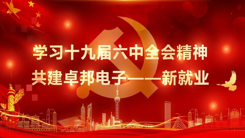 ZOBO91免费在线APP黨支部丨開展“學習貫徹黨的十九屆六中全會精神”主題黨日活動