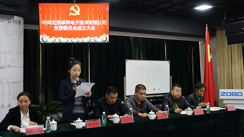 中共北京91免费在线APP電子技術有限公司支部委員會成立